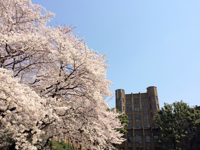 tokyoi